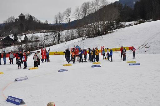100306_winterkrone10.JPG