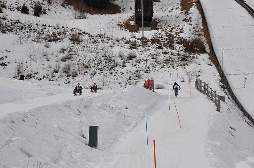 100306_winterkrone15.JPG