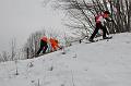 100306_winterkrone14