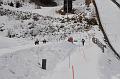 100306_winterkrone15