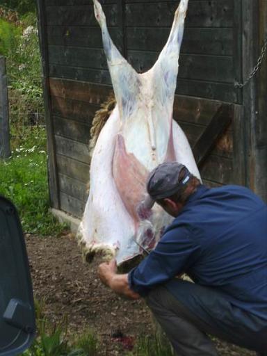 100828fagagna02.JPG
