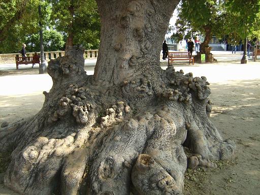 084barca101022_26.JPG