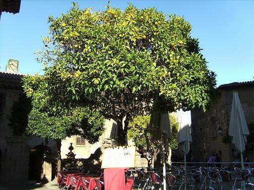 180barca101022_26.JPG