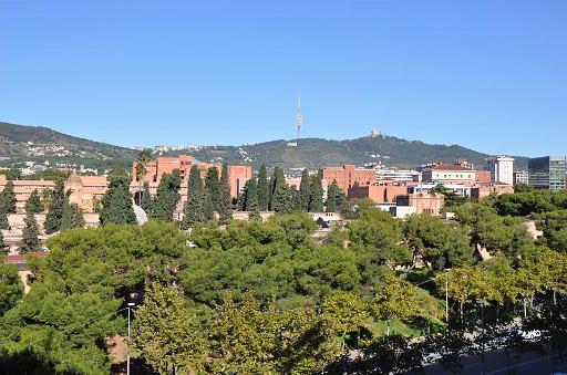 356barca101022_26.jpg