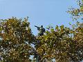 139barca101022_26