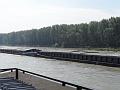 SAM_1326